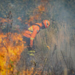 Corpo de Bombeiros combate 25 incêndios florestais em Mato Grosso