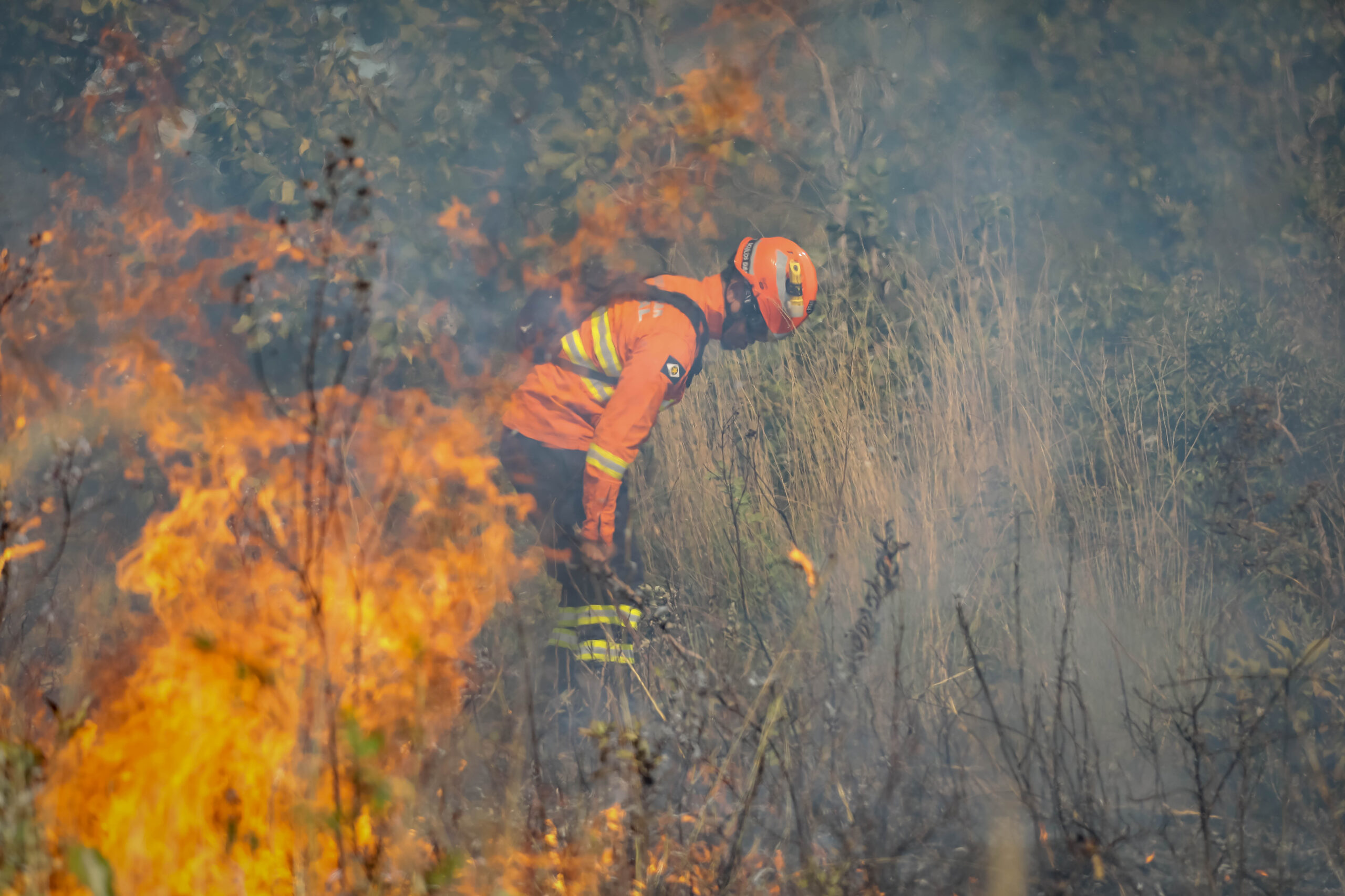 Corpo de Bombeiros combate 25 incêndios florestais em Mato Grosso