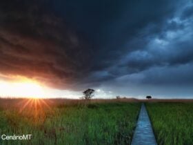 Previsão do tempo em Mato Grosso