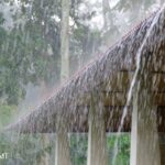 Alerta amarelo para o Mato Grosso