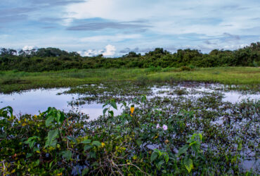 Clima no Mato Grosso em 2024: Seca Prolongada e Impactos na Agricultura