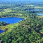 Queimadas no Pantanal pode trazer problemas de saúde