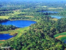 Queimadas no Pantanal pode trazer problemas de saúde