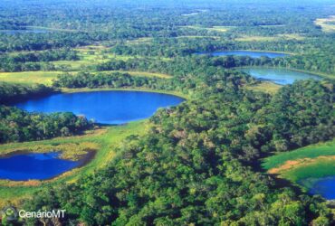 Queimadas no Pantanal pode trazer problemas de saúde