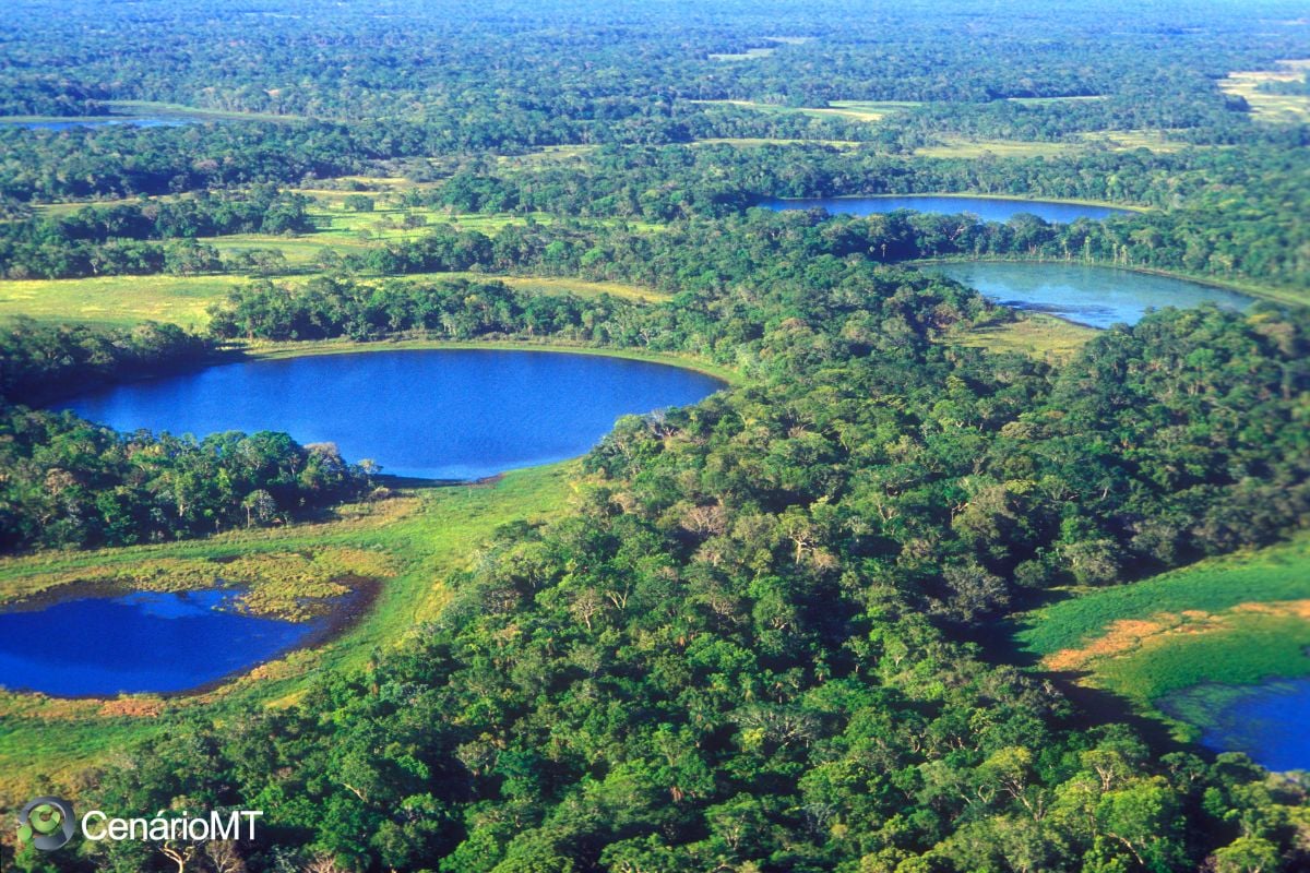 Queimadas no Pantanal pode trazer problemas de saúde