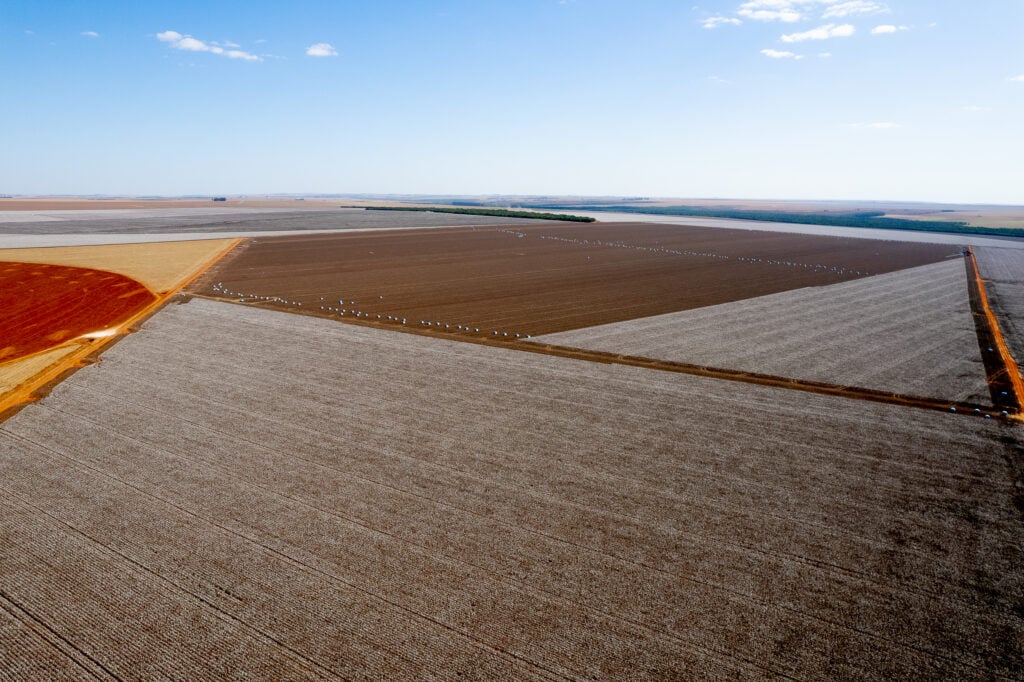 Impactos na agricultura do Mato Grosso