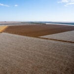 Impactos na agricultura do Mato Grosso