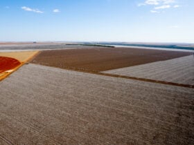 Impactos na agricultura do Mato Grosso