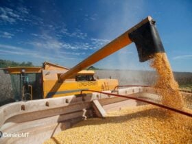 Chuvas de março ameaçam colheita, mas beneficiam plantio no Brasil