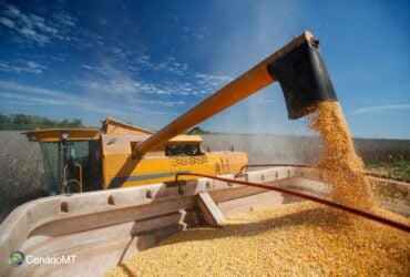 Chuvas de março ameaçam colheita, mas beneficiam plantio no Brasil